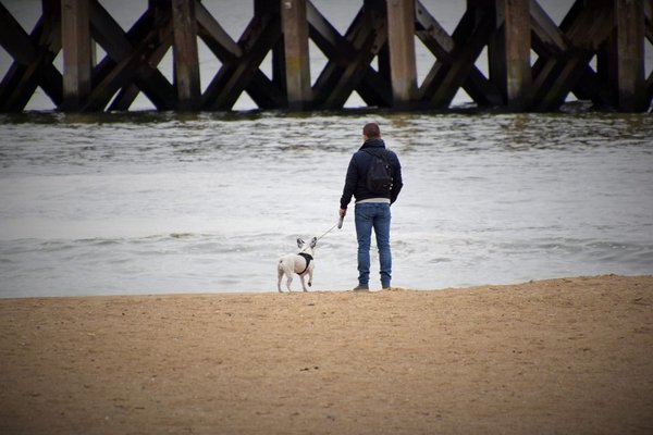 Mon chien a-t-il besoin d'une gourde pour boire en balade ?